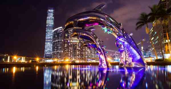 海豚加速器白金破解版下载,海豚加速器白金账号共享